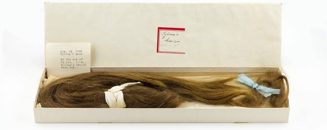 La trenza de Sylvia Plath