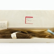 La trenza de Sylvia Plath