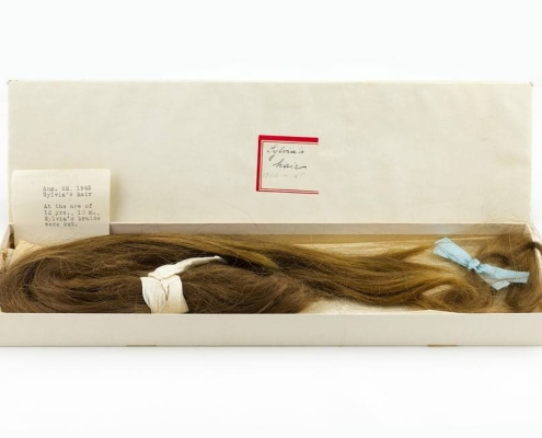 La trenza de Sylvia Plath