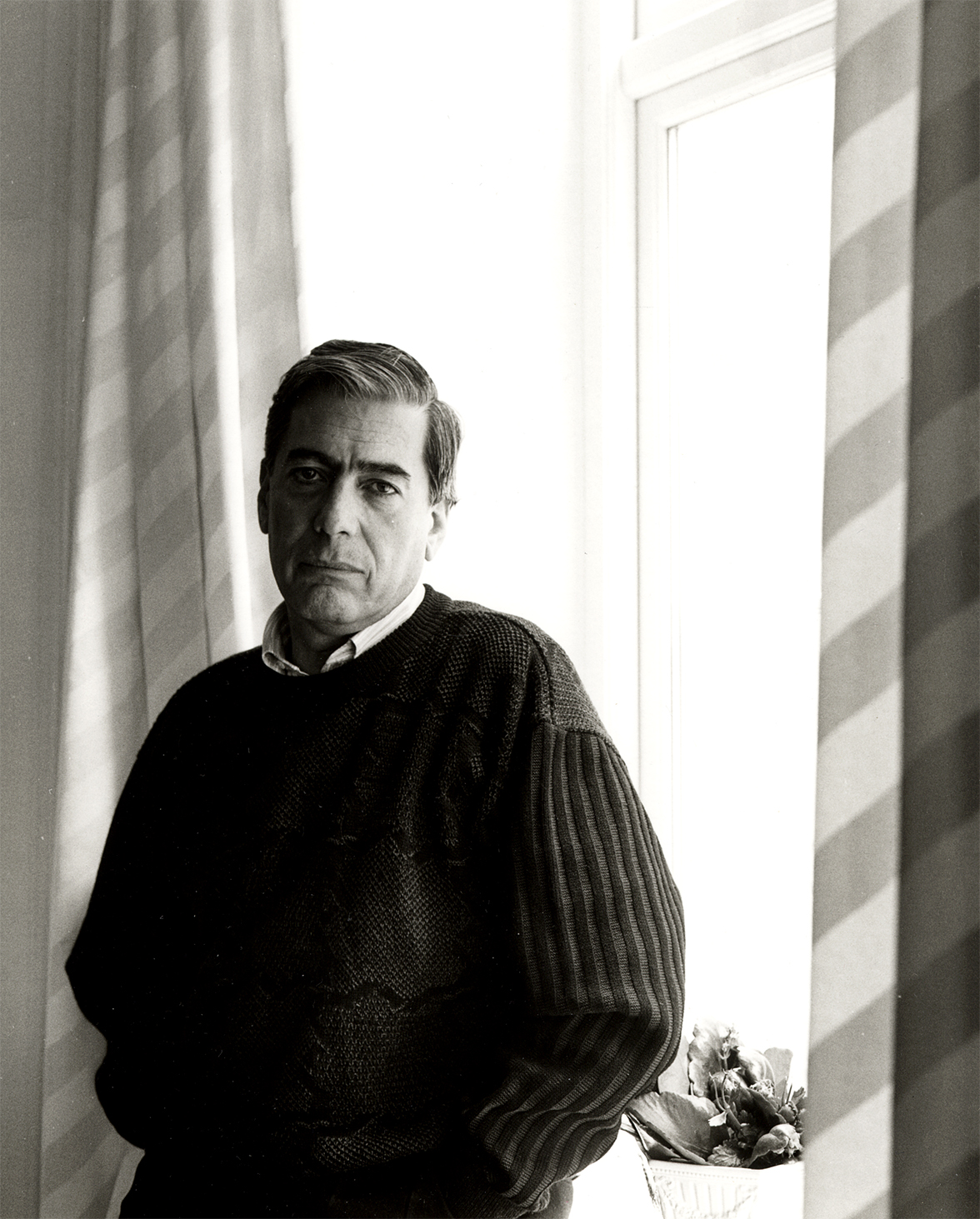 Vargas Llosa: La domesticación de un rebelde. Patricio Salinas A.