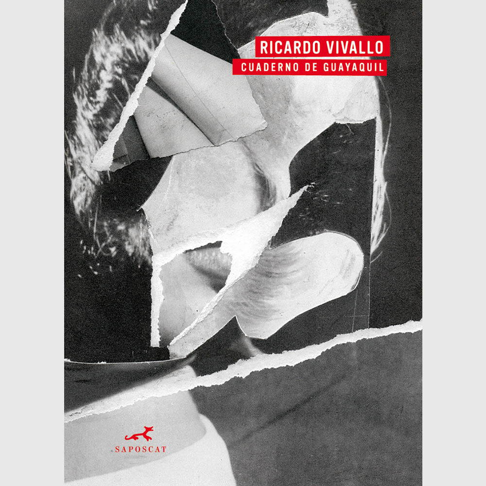 Cuaderno de Guayaquil. Ricardo Vivallo