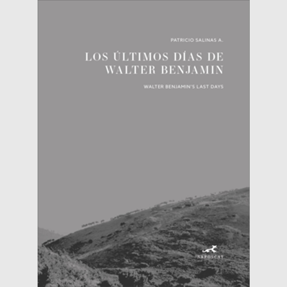 Los últimos días de Walter Benjamin. Patricio Salinas
